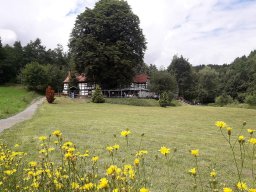 500 Treffen 2017 Tag2